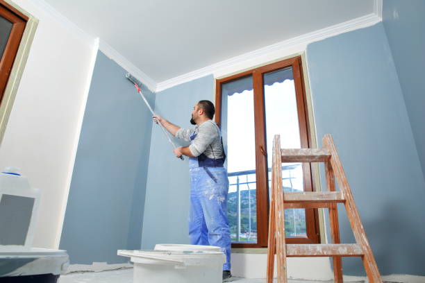 Best Mold Odor Removal Services  in Westernport, MD