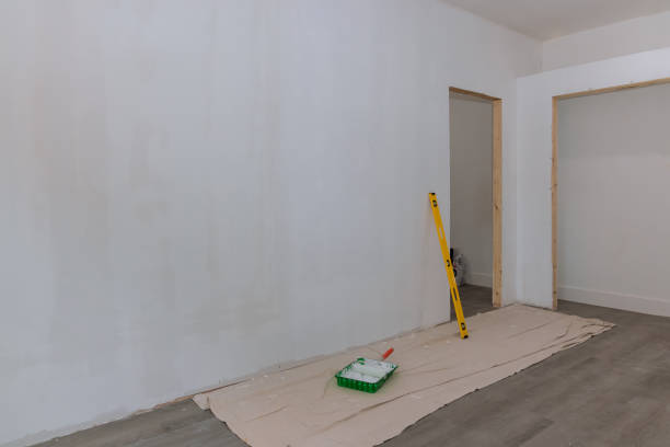 Best Mold Odor Removal Services  in Westernport, MD