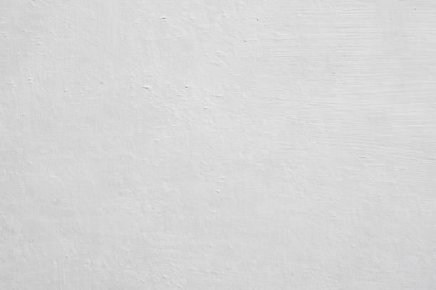 Reliable Westernport, MD Mold Removal Solutions