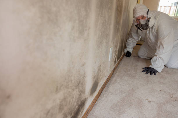 Best Indoor Air Quality Assessment  in Westernport, MD