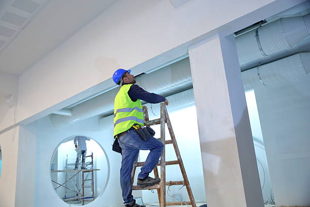 Best Dehumidification Services  in Westernport, MD