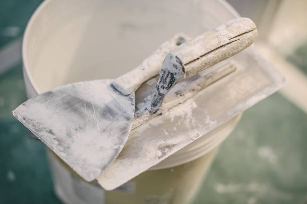 Best Emergency Mold Remediation  in Westernport, MD