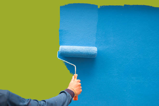 Best Mold Removal for HVAC Installations  in Westernport, MD