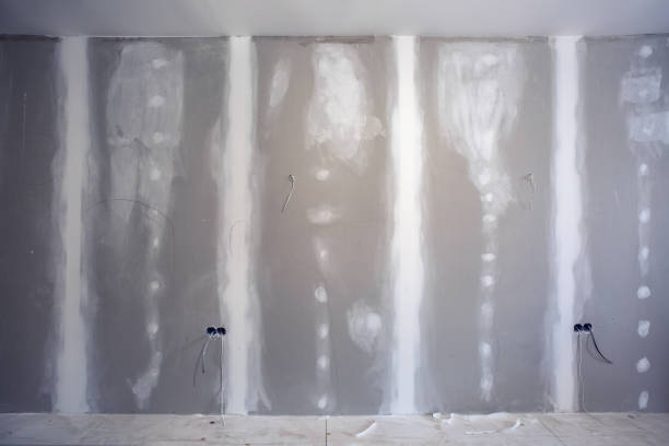 Best Forensic Mold Investigation  in Westernport, MD